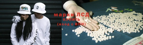 трава Гусь-Хрустальный