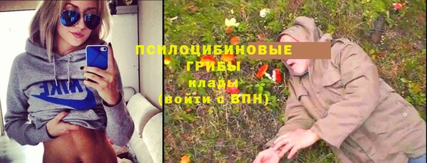 метадон Гусев